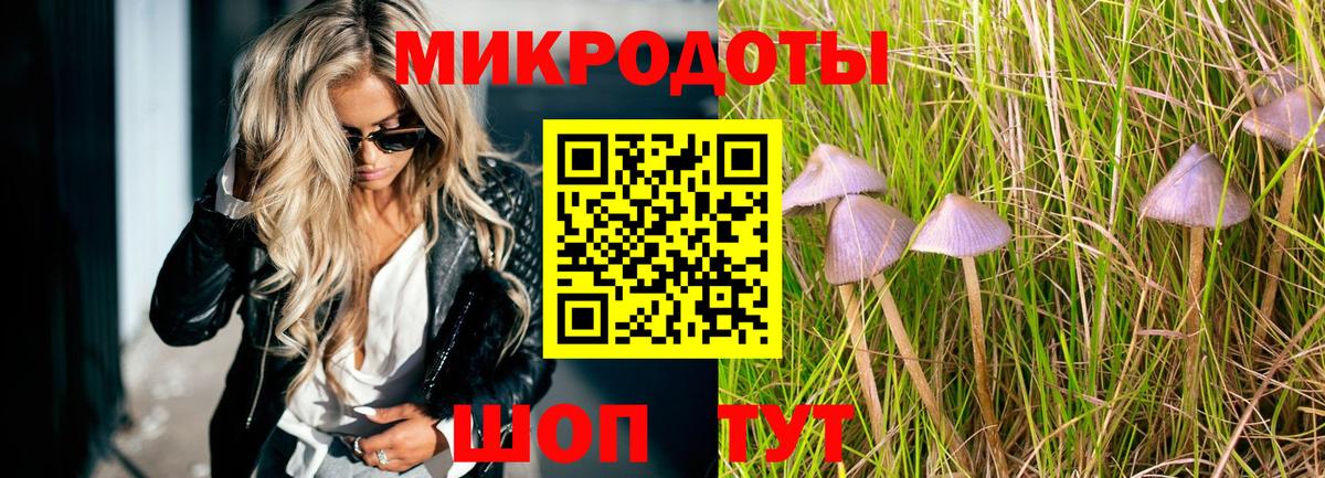 Псилоцибиновые грибы прущие грибы Дагестанские Огни